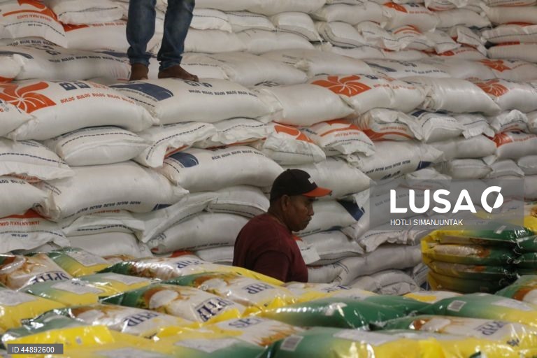 Indonésia: Produção de arroz aumenta em relação ao ano anterior