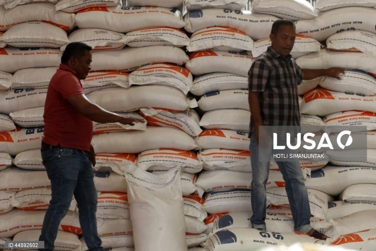 Indonésia: Produção de arroz aumenta em relação ao ano anterior