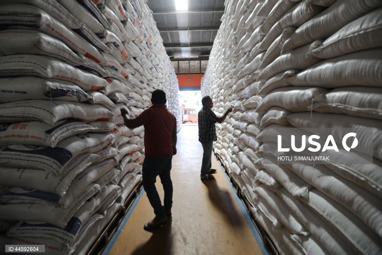 Indonésia: Produção de arroz aumenta em relação ao ano anterior