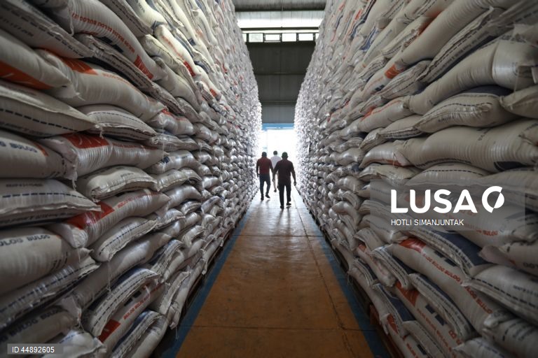 Indonésia: Produção de arroz aumenta em relação ao ano anterior