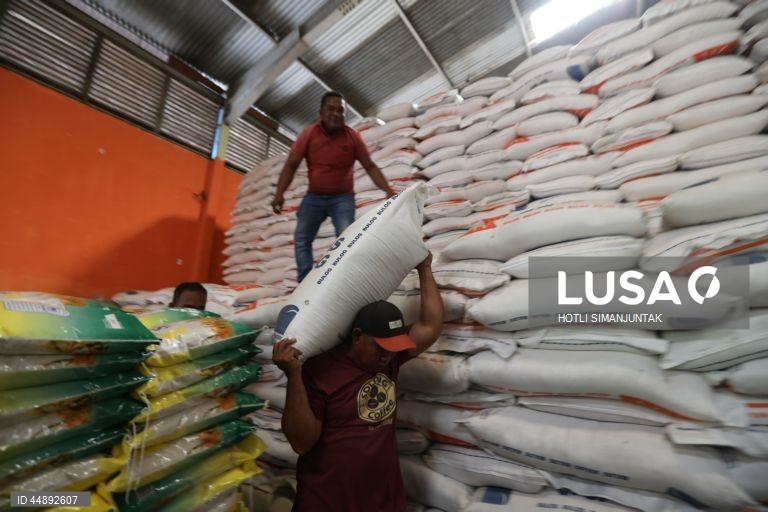 Indonésia: Produção de arroz aumenta em relação ao ano anterior