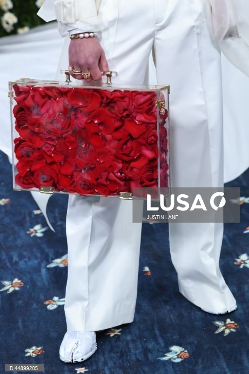 EUA: Met Gala 2025 em Nova Iorque