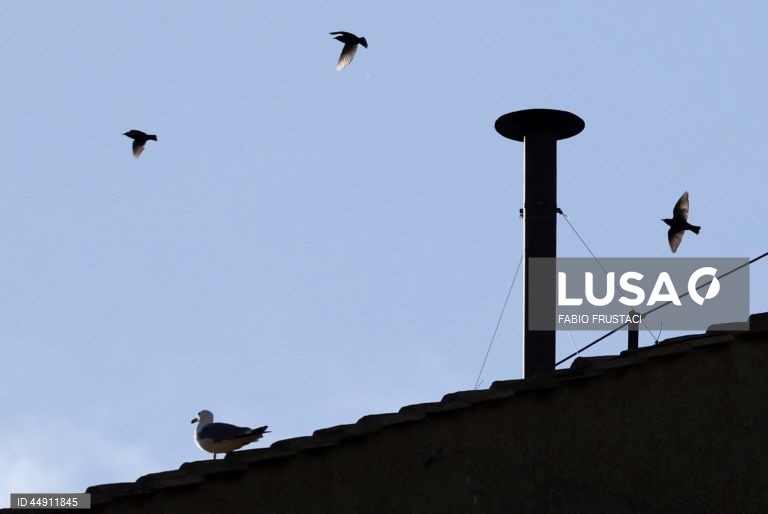 Vaticano: Início do Conclave. 