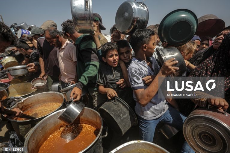 Faixa de Gaza: Distribuição de alimentos em Jabalia