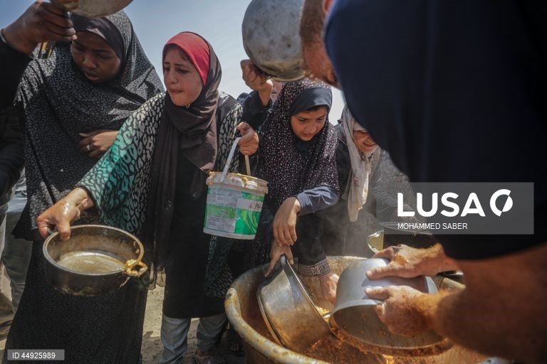 Faixa de Gaza: Distribuição de alimentos em Jabalia