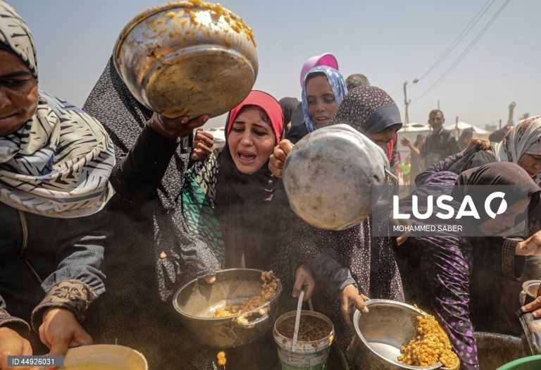 Faixa de Gaza: Distribuição de alimentos em Jabalia