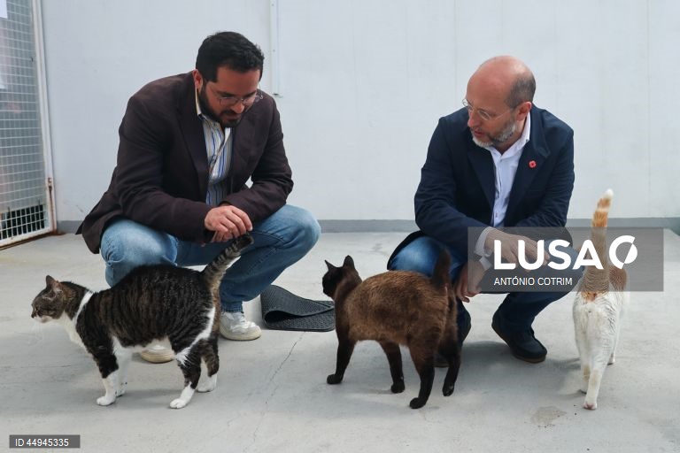 Portugal: Campanha eleitoral