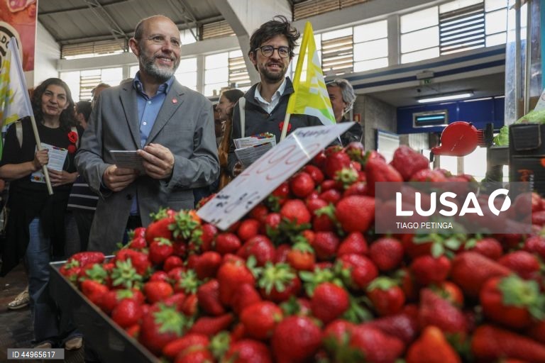 Portugal. Campanha eleitoral