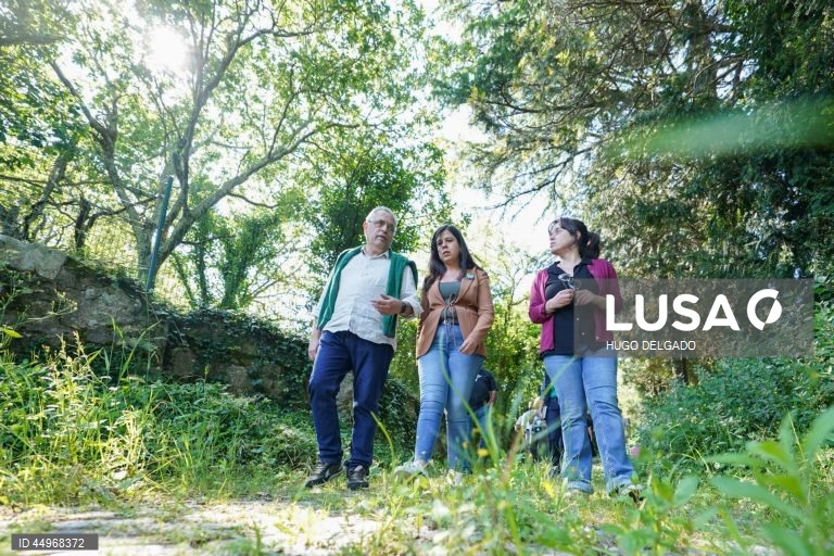 Portugal. Campanha eleitoral