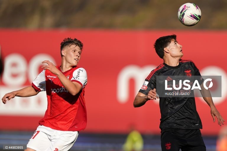 Braga vs Benfica