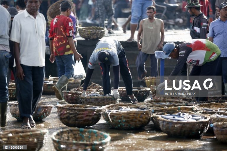 Indonésia: Pesca tradicional em Banda Aceh