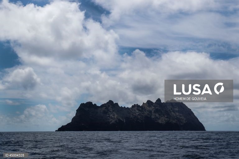 Visita à Reserva das Ilhas Desertas, por ocasião do seu 35º aniversário, Madeira, 20 de maio de 2025. A Reserva Natural das Ilhas Desertas, com uma área total de 12.586 hectares, é delimitada pela batimétrica dos 100 metros e inclui todas as ilhas e ilhéus. As Ilhas Desertas compreendem três ilhas: Ilhéu Chão, Deserta Grande e Bugio. HOMEM DE GOUVEIA/LUSA