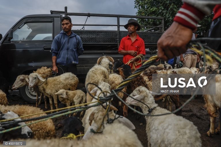 Indonésia: Preparativos para o Eid al-Adha em Bogor