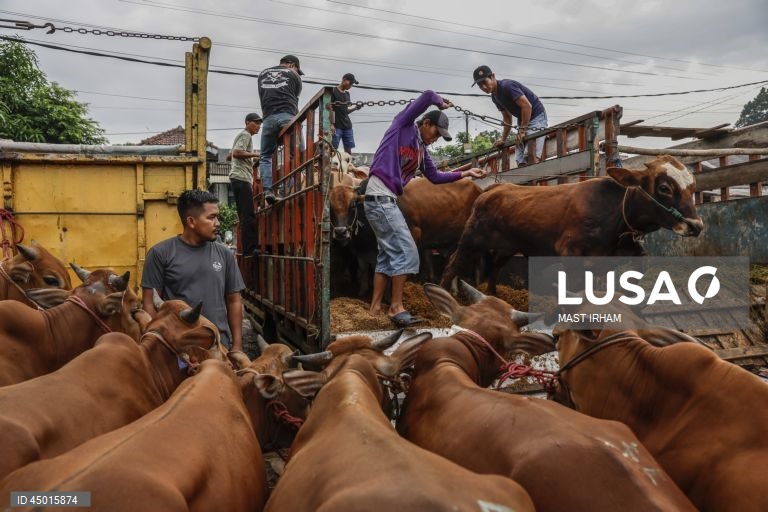 Indonésia: Preparativos para o Eid al-Adha em Bogor