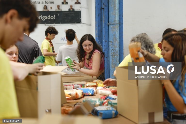 Voluntários separam os bens alimentares durante o início da campanha do Banco Alimentar Contra a Fome, em Lisboa, 31 de maio de 2025. Com o mote “A sua ajuda tem um nome: o nome de quem a vai receber”, a campanha apela ao contributo de todos os portugueses, que vão poder doar alimentos em mais de 2.000 superfícies comerciais espalhadas por todo o país. ANTÓNIO PEDRO SANTOS/LUSA