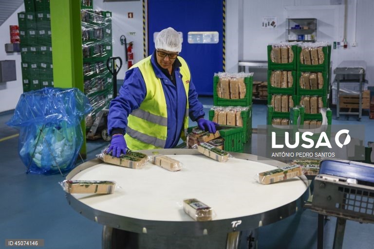 Um trabalhador embala coentros nas instalações da fábrica da Vitacress, empresa com uma estratégia de sustentabilidade que permite criar produtos com a garantia de um ecossistema saudável e atingir a neutralidade líquida de carbono até 2040, em Odemira, 30 de maio de 2025. (ACOMPANHA TEXTO DA LUSA DO DIA 02 DE JUNHO DE 2025). ANTÓNIO PEDRO SANTOS/LUSA