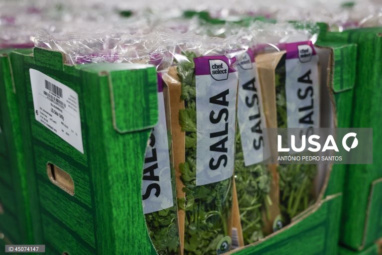Embalagens de salsa nas instalações da fábrica da Vitacress, empresa com uma estratégia de sustentabilidade que permite criar produtos com a garantia de um ecossistema saudável e atingir a neutralidade líquida de carbono até 2040, em Odemira, 30 de maio de 2025. (ACOMPANHA TEXTO DA LUSA DO DIA 02 DE JUNHO DE 2025). ANTÓNIO PEDRO SANTOS/LUSA