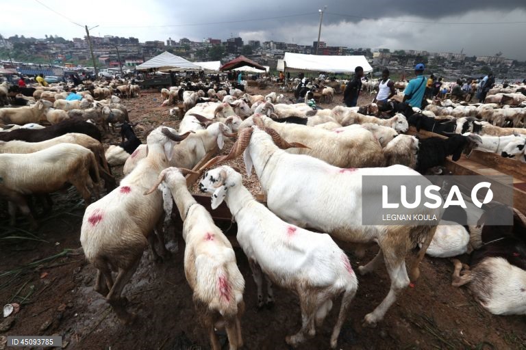 Islão: Celebrações do Dia do Sacrificio (Eid al-Adha)