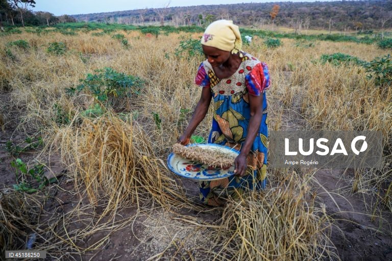 Refugiados congoleses fugiram da guerra há sete anos e estabeleceram-se no Lóvua, no nordeste de Angola, em busca de paz, mas enfrentam agora um futuro incerto e sem conseguir integrar-se plenamente na sociedade por falta de documentação, 19 de junho de 2025. (ACOMPANHA TEXTO DA LUSA DO DIA 20 DE JUNHO DE 2025).  AMPE ROGERIO/LUSA