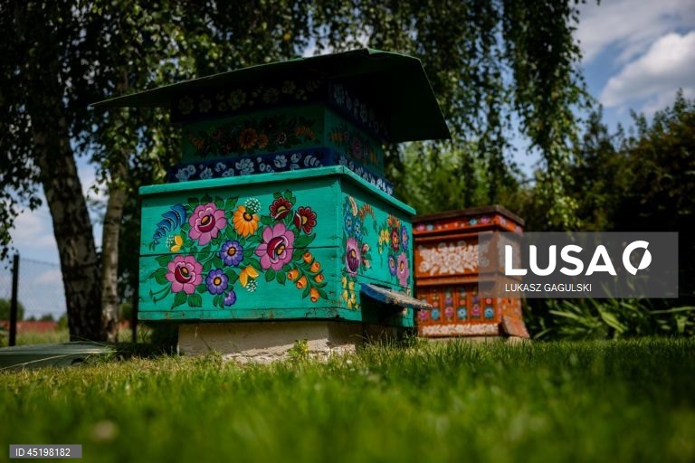 Zalipie: Casas de campo pintadas com motivos decorativos