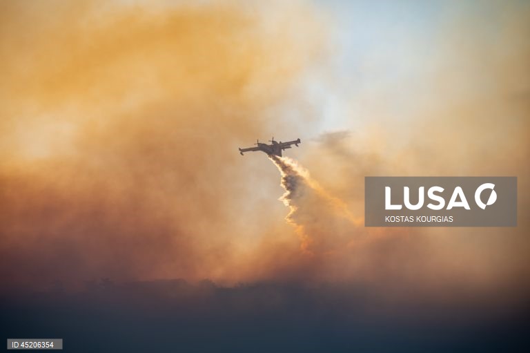 Grécia: Incêndio florestal continua a arder na ilha de Chios