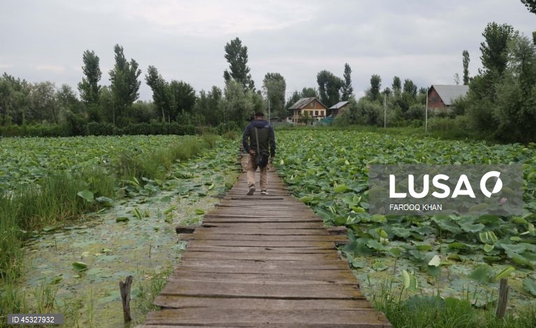 Índia: Lago Dal em Caxemira