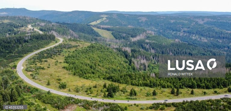 Alemanha: Tempo de verão na Floresta Negra do Norte