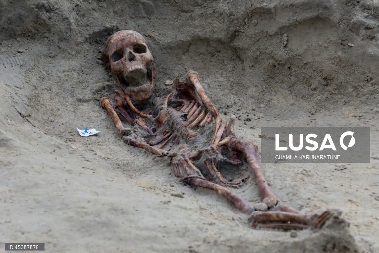 Valas comuns no Sri Lanka