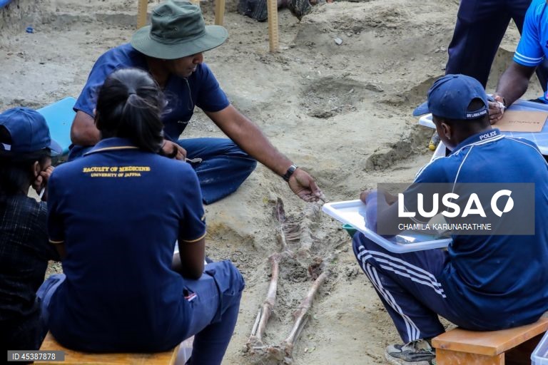 Valas comuns no Sri Lanka