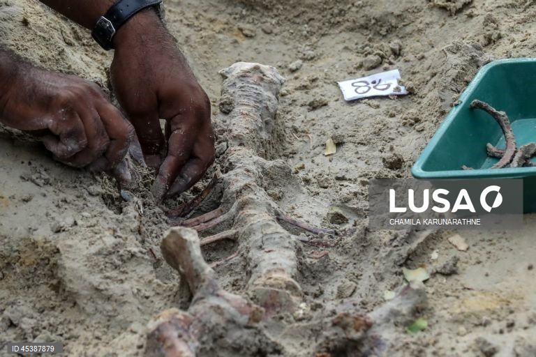 Valas comuns no Sri Lanka