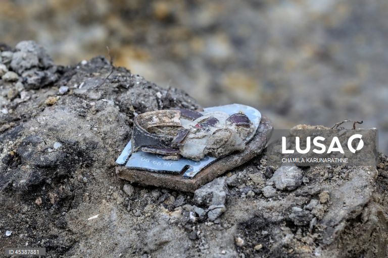 Valas comuns no Sri Lanka