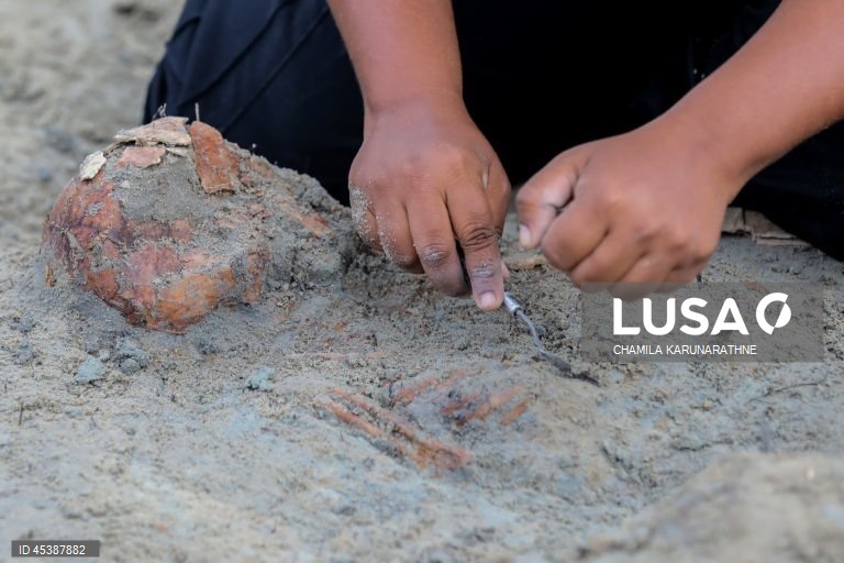 Valas comuns no Sri Lanka