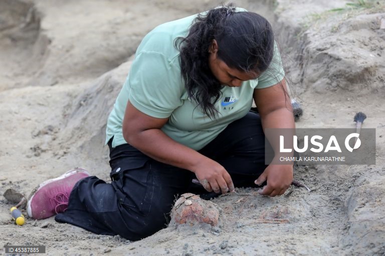 Valas comuns no Sri Lanka