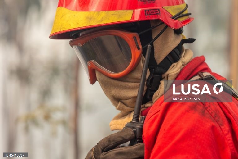 Um bombeiro combate um incêndio florestal em Melres, Gondomar, Porto, 30 de julho 2025. As povoações de Montezelo e Altocentro, em Melres, concelho de Gondomar, estão ameaçadas pelas chamas do incêndio que começou na terça-feira em Penafiel, revelou à Lusa fonte dos bombeiros de Melres e segundo o ‘site’ da Autoridade Nacional de Emergência e Proteção Civil (ANEPC), pelas 14:55 este incêndio no distrito do Porto estava a ser combatido por 178 operacionais, apoiados por 47 viaturas e três meios...