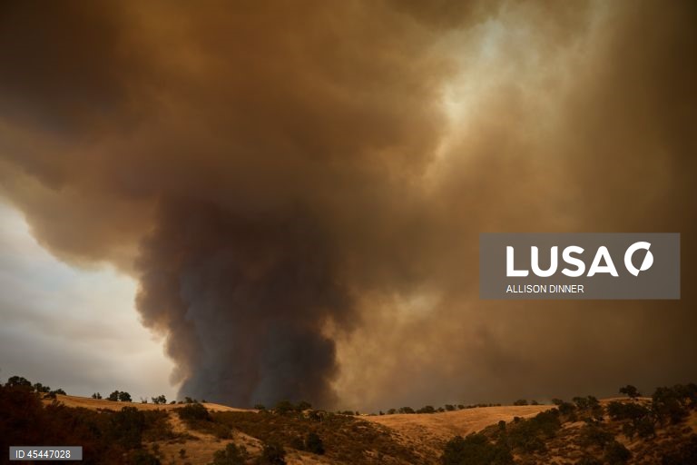 EUA: O incêndio de Gifford torna-se o maior incêndio florestal da Califórnia em 2025