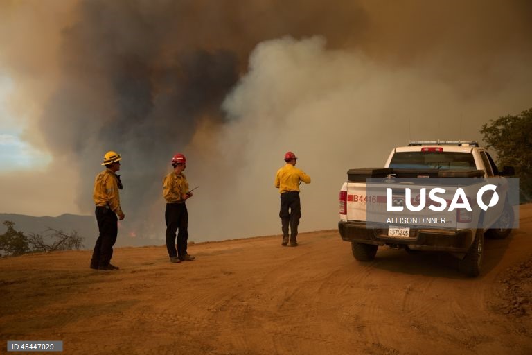 EUA: O incêndio de Gifford torna-se o maior incêndio florestal da Califórnia em 2025