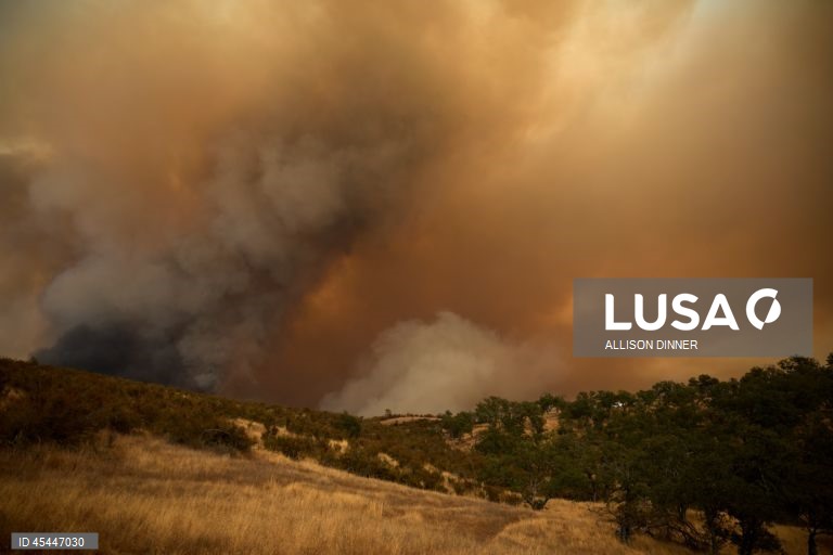 EUA: O incêndio de Gifford torna-se o maior incêndio florestal da Califórnia em 2025