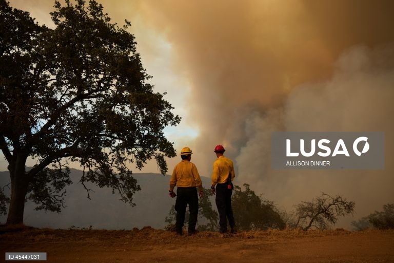 EUA: O incêndio de Gifford torna-se o maior incêndio florestal da Califórnia em 2025