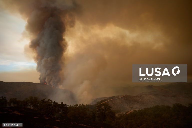 EUA: O incêndio de Gifford torna-se o maior incêndio florestal da Califórnia em 2025