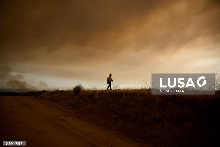 EUA: O incêndio de Gifford torna-se o maior incêndio florestal da Califórnia em 2025