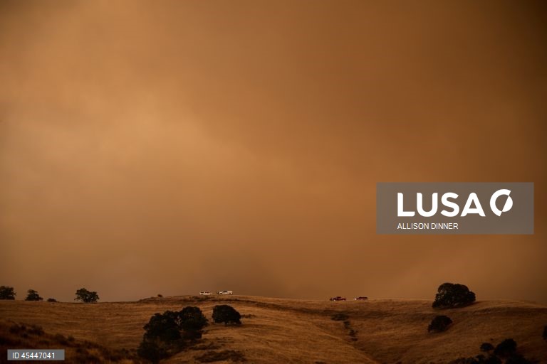 EUA: O incêndio de Gifford torna-se o maior incêndio florestal da Califórnia em 2025