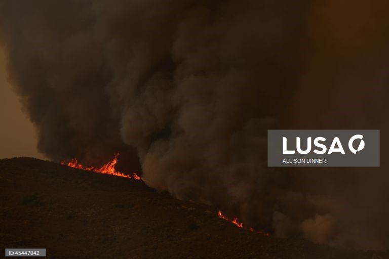 EUA: O incêndio de Gifford torna-se o maior incêndio florestal da Califórnia em 2025