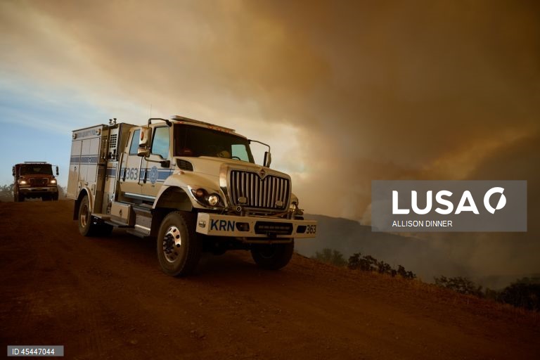 EUA: O incêndio de Gifford torna-se o maior incêndio florestal da Califórnia em 2025
