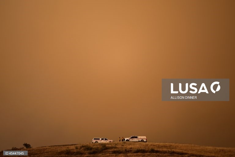 EUA: O incêndio de Gifford torna-se o maior incêndio florestal da Califórnia em 2025