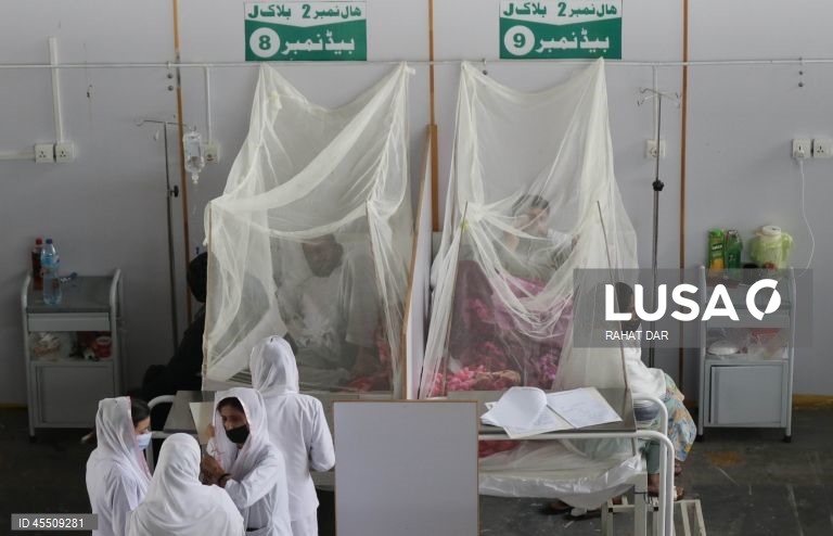 Dia Mundial do Mosquito