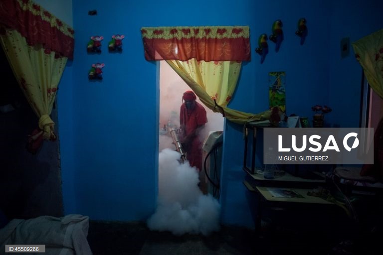 Dia Mundial do Mosquito