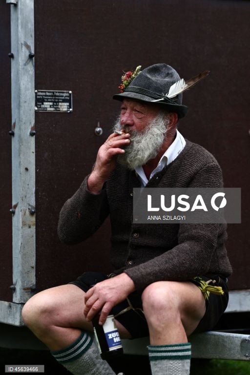 Alemanha: Festival tradicional alpino de «Viehscheid» em Bad Hindelang