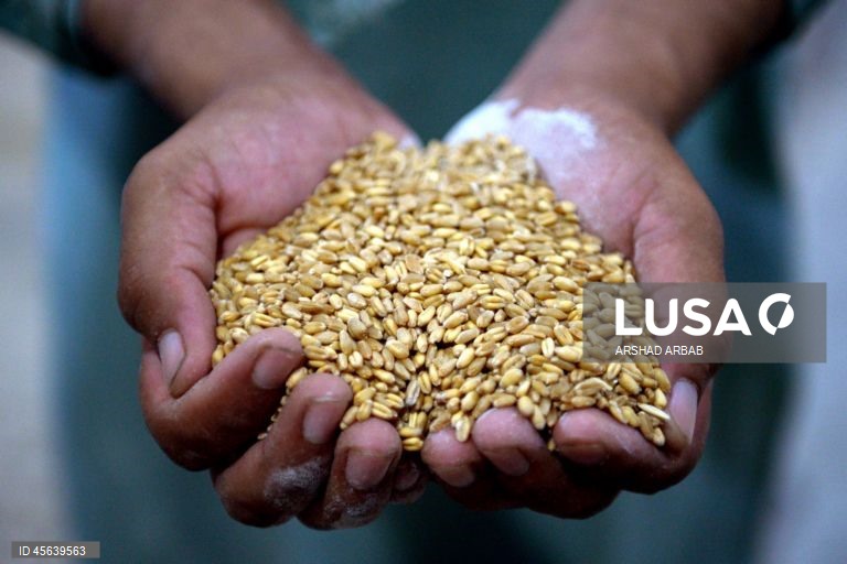 Paquistão: Comércio de trigo