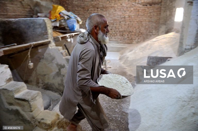 Paquistão: Comércio de trigo