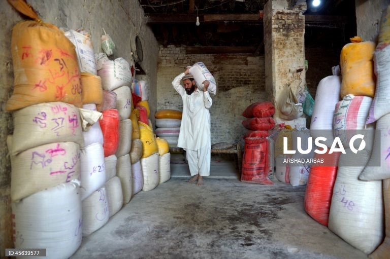 Paquistão: Comércio de trigo